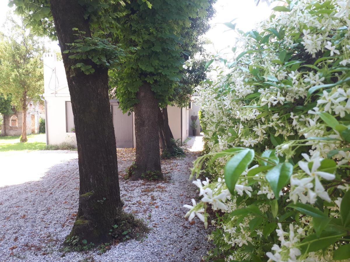 Villa Fiorentino Padova Dış mekan fotoğraf